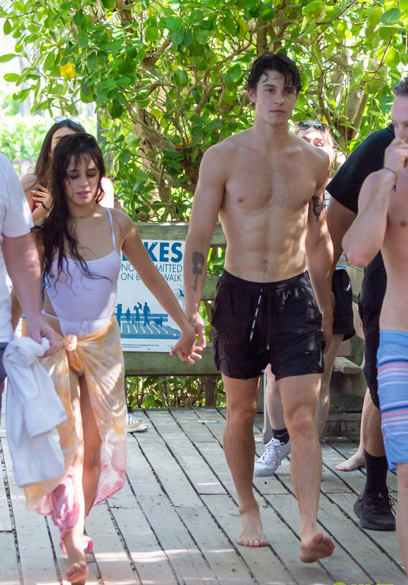 giong ca havana khong ngung hon shawn mendes