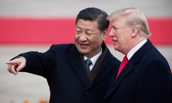 tong thong trump gay tranh cai khi cong khai bao ve la co bieu tuong chu nghia no le
