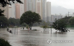 Bão và mưa lớn tàn phá nhiều nơi của Hàn Quốc