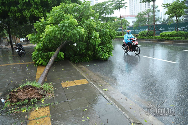 du bao thoi tiet 68 ha noi mua dong de phong gio giat manh