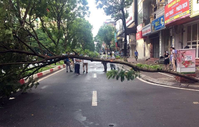 cay do vat ngang duong ha noi lai xe tong vao tu vong tai cho