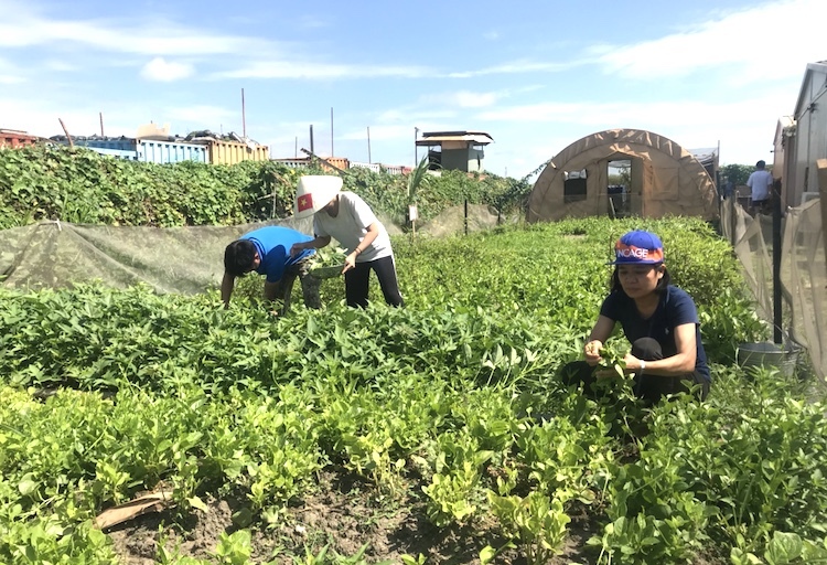 bo doi viet nam phu xanh dat can o nam sudan