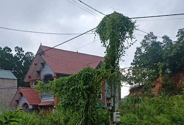 1 phut 9 lan mat dien hang tram ho dan o thanh hoa bi chay tivi tu lanh