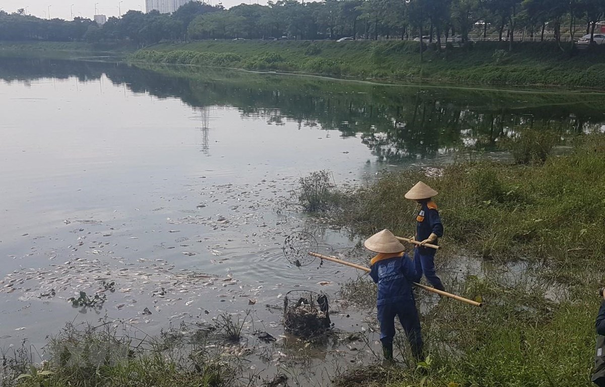 ha noi ca chet noi trang ho yen so mui hoi thoi lan rong