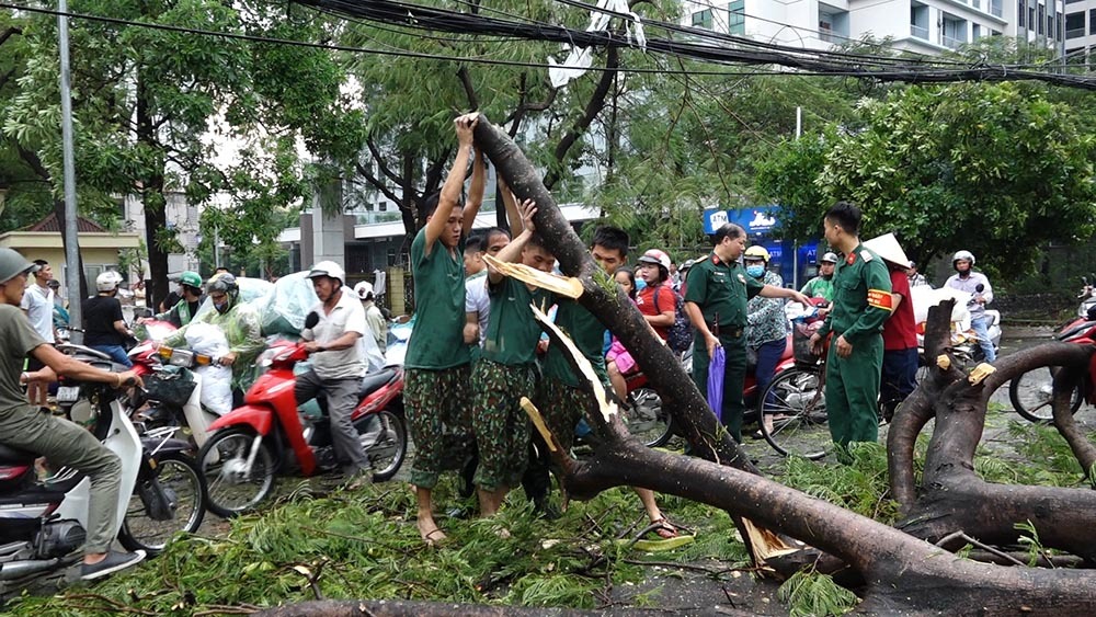 mua to gio giat nhu bao cay gay do de o to o kdt linh dam