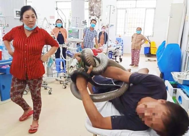 Người đàn ông ôm rắn vào bệnh viện cấp cứu: Liều mạng kiếm tiền nộp học cho con - 1