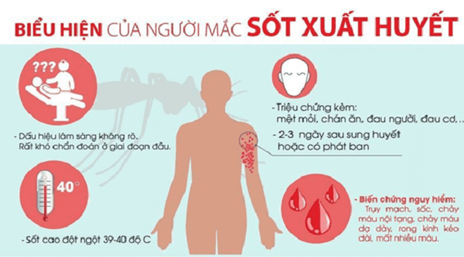 Số ca sốt xuất huyết đang tăng nhanh ở Hà Nội ảnh 2