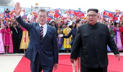 moon jae in lieu co the thuc giuc duoc kim jong un tu bo hat nhan