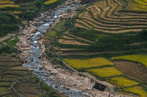 mua thu vang tren duong dua marathon o sa pa