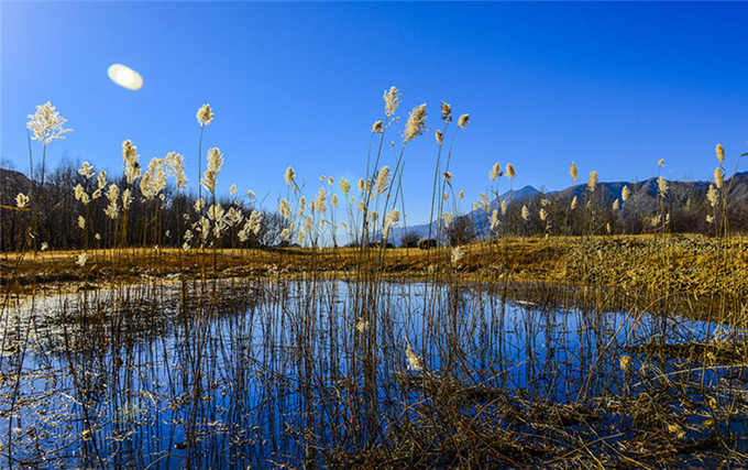 ho vang nhu tranh ve o tay tang