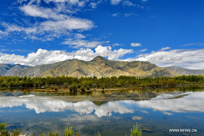 ho vang nhu tranh ve o tay tang