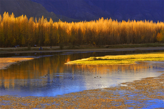 ho vang nhu tranh ve o tay tang