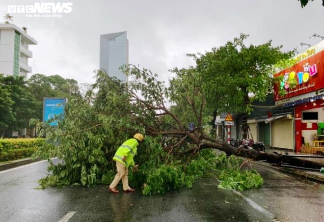 Bão số 5 áp sát: Lốc xoáy quật đổ cây ở Huế, Đà Nẵng mưa lớn kèm sấm chớp - 2