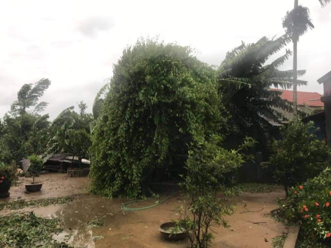 Quảng Trị: Mưa lớn gây chia cắt nhiều nơi, thuỷ điện xả lũ khẩn cấp - 6