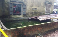 ngay le tha cau bat duoc ca ghe khung 22 kg dai hon 1 m