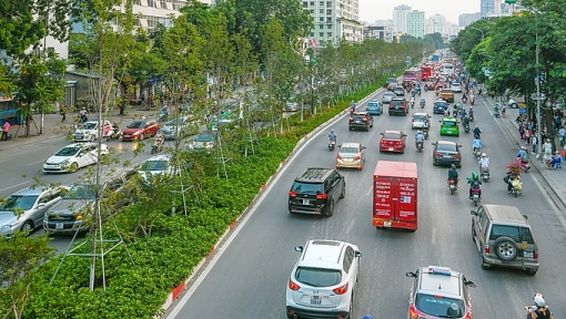 nhung cay phong do dau tien o ha noi bat dau chuyen mau