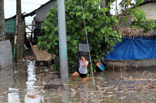 bao yutu do bo gay lu lut va lo dat o philippines