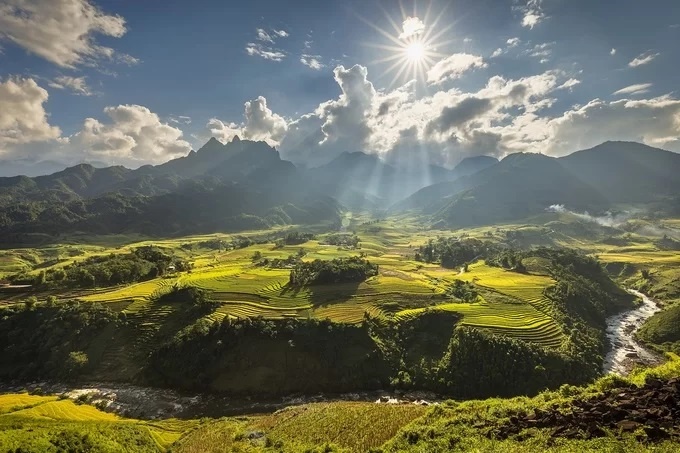 ruong bac thang lao cai vao mua lua chin