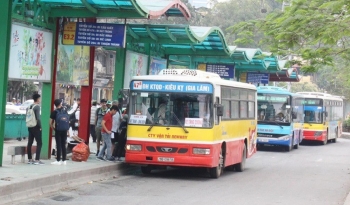 “Xe khách thành phố” hay là chuyện “Đặt tên Mèo cho con Chuột”