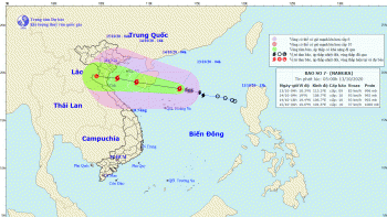 Bão số 7 tiến gần vịnh Bắc Bộ, dự kiến đổ bộ vào đất liền