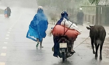 Lũ quét ào ạt đổ về sau mưa lớn, Hà Tĩnh khẩn cấp di dời dân