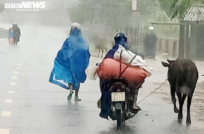 Lũ quét ào ạt đổ về sau mưa lớn, Hà Tĩnh khẩn cấp di dời dân - 1