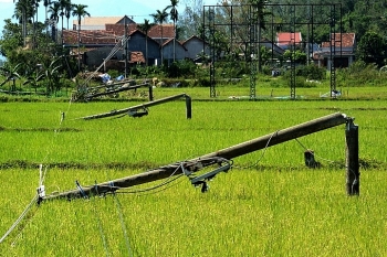Hơn 680.000 hộ chưa có điện sau bão