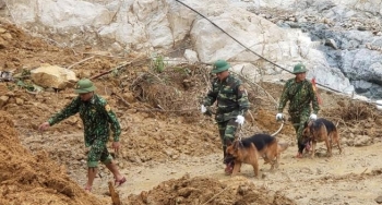 Đội mưa lật đá, đưa chó nghiệp vụ lùng sục tìm người mất tích ở Trà Leng
