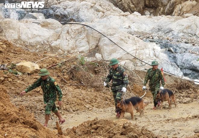 Đội mưa lật đá, đưa chó nghiệp vụ lùng sục tìm người mất tích ở Trà Leng - 2