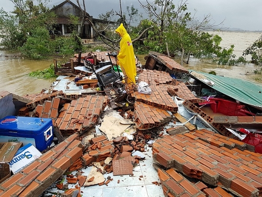 tan hoang o vung tam bao damrey