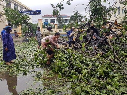 tan hoang o vung tam bao damrey