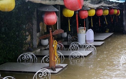 lu len nhanh pho co hoi an ngap sau