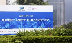 vai tro apec vi the viet nam