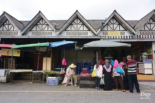 cameron highlands nang son nu ngu vui giua rung xanh va doi che