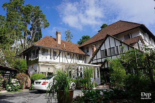 cameron highlands nang son nu ngu vui giua rung xanh va doi che