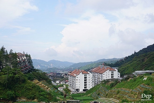 cameron highlands nang son nu ngu vui giua rung xanh va doi che