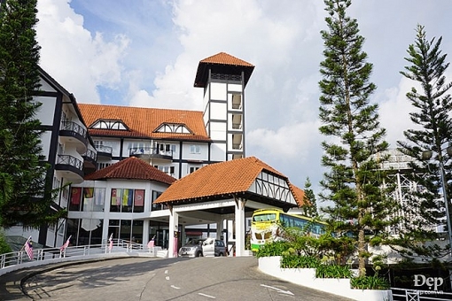 cameron highlands nang son nu ngu vui giua rung xanh va doi che