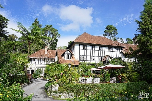 cameron highlands nang son nu ngu vui giua rung xanh va doi che