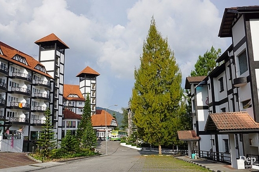 cameron highlands nang son nu ngu vui giua rung xanh va doi che