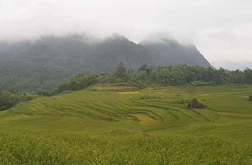 mien bac don gio mua dong bac nam trung bo mua to