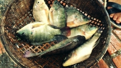 blackmores gan 9 thap ky nang cao suc khoe cong dong