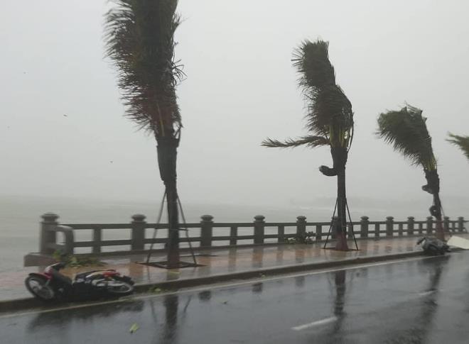 Bão số 12: Khánh Hòa, Phú Yên gió bão giật cấp 11, nhiều nơi mất điện - 1