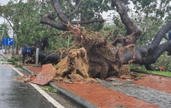 TRỰC TIẾP: Bão số 13 đổ bộ đất liền, Huế - Đà Nẵng mưa to gió giật, phố ngập úng