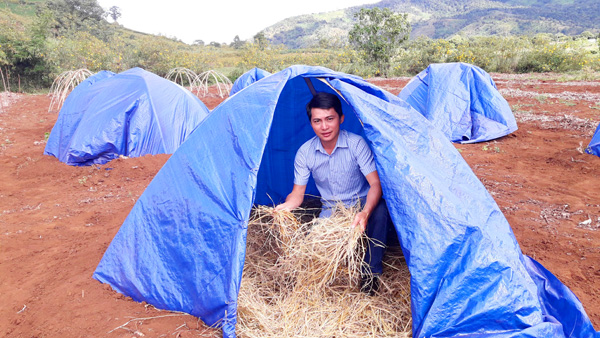 le hoi hoa da quy hang ngan du khach that vong vi chi thay hoa tan lui