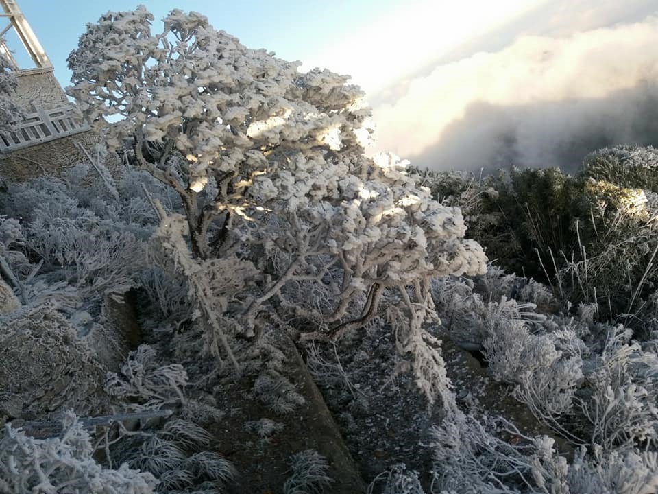 bang tuyet phu trang dinh fansipan