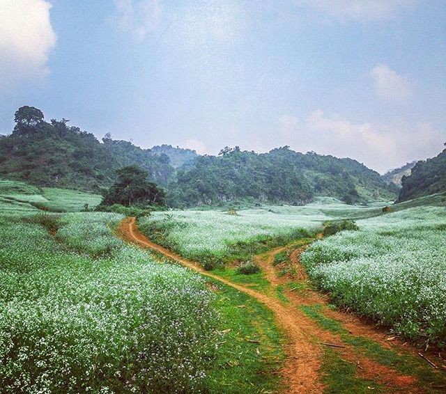 da mat ngam nhung dong hoa no ro vao cuoi nam