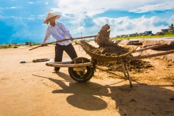 nghe lam mi soi truyen thong hon 300 nam o trung quoc vnexpress du lich