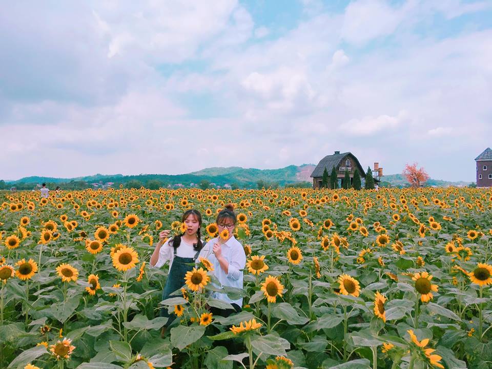 thien duong hoa huong duong khien gioi tre ngay ngat o bac giang