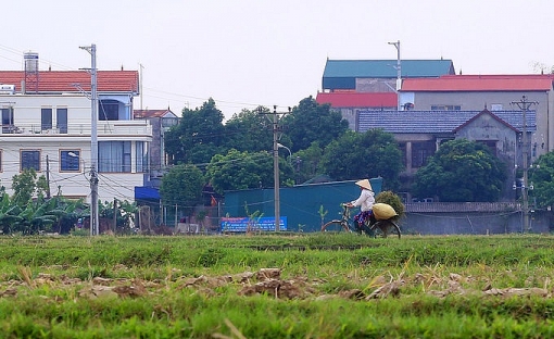 truong dua ngua 10000 ty dong se xay tai ngoai thanh ha noi