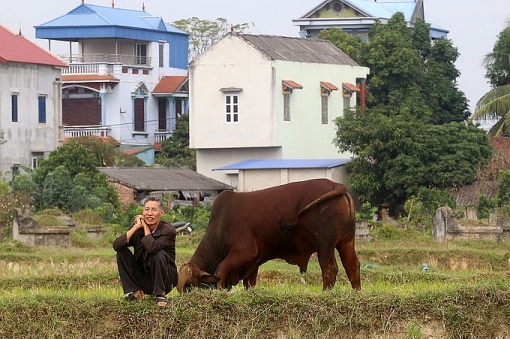 truong dua ngua 10000 ty dong se xay tai ngoai thanh ha noi